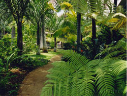 Prince Kuhio Garden View - click for larger picture
