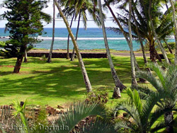 Ocean view and Prince Kuhio Park from Lanai
