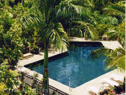Vacation Rental Garden and Pool View - click for larger picture